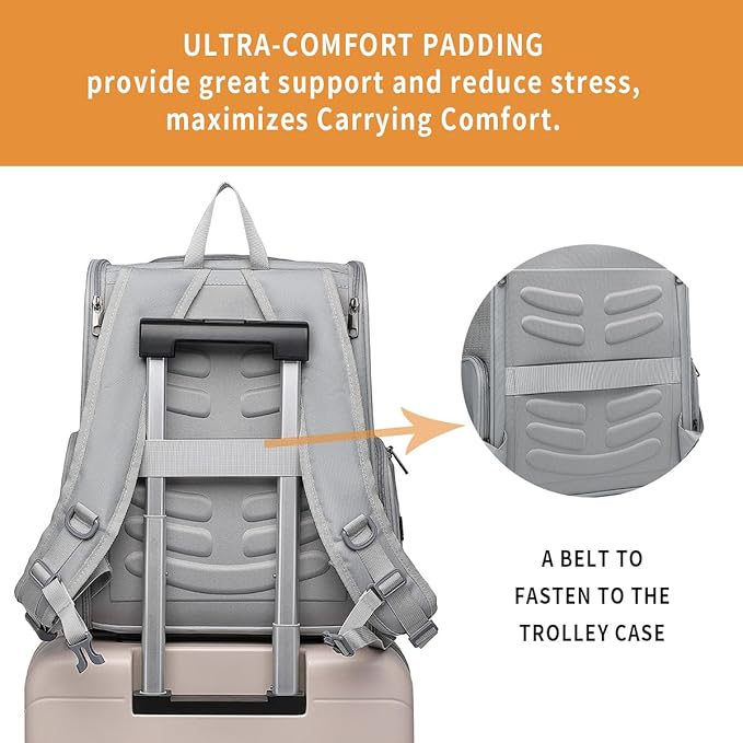 Cat Backpack Carrier for Small Dogs and Medium cat Puppy Kitten Bunny Pet Carrier Backpack Collapsible with Fully Ventilated Mesh with Safety Leash (Gray, 12.9" L x 10.62" W x 15.5" H - M)