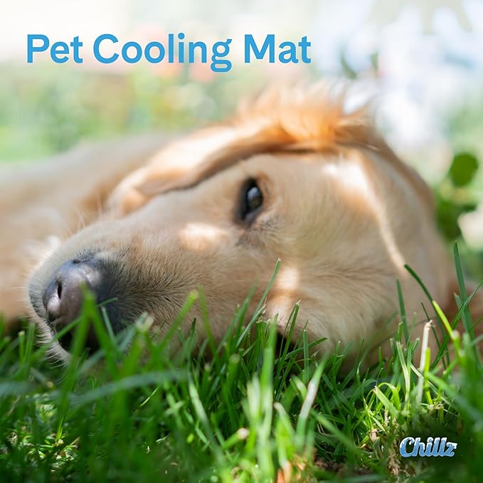 The Green Pet Shop Chillz Gel Mat, Extra Large - Pressure-Activated Cooling Pad for Pets Over 50 lbs - Non-Toxic, No Water or Refrigeration Needed - Ideal for Home, Travel & Crates