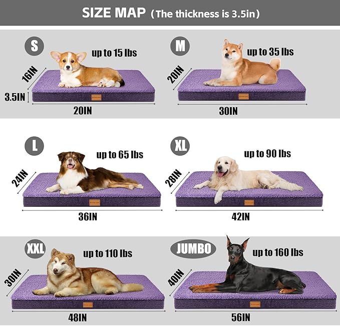 Patas Lague Orthopedic Dog Bed Large Sized Dog 36''X24'',Soft Waterproof Egg Crate Foam Medium Pet Crate Beds Mat with Removable Washable Cover and Non-Slip Bottom, Purple
