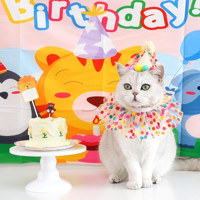 Cat Dog Princess Costumes Puppy Cat Birthday Bandana Scarf and Party Hat Cute Lace Dog Bib Scarf and Christmas Hat Doggy Birthday Party Decorations Set