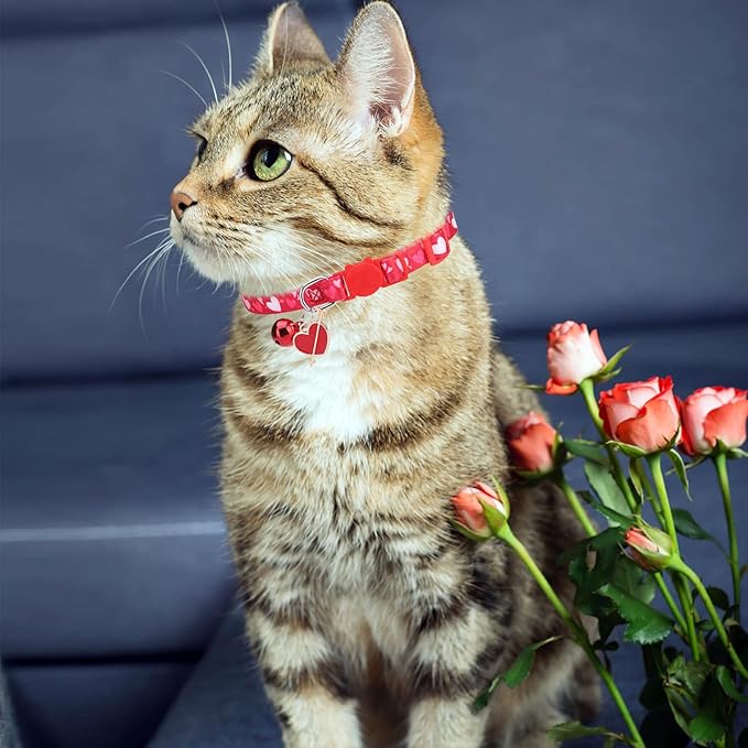 Breakaway Cat Collars with Bell & Cute Pendants, 3 Pack Safety Buckle Kitten Collars, Adjustable Pet Collar Ideal for Girl Boy Cats Puppy (Love Heart)
