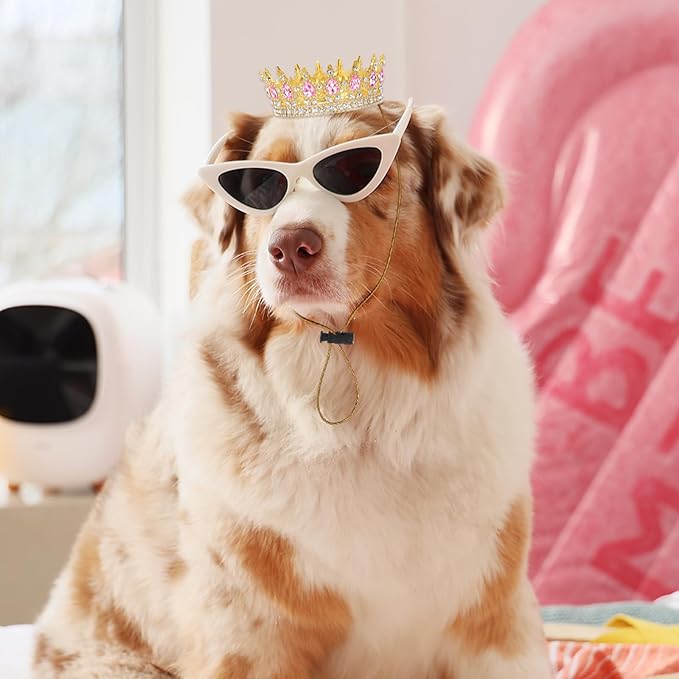 Abbylike Pet Rhinestone King Crown, Queen Crown for Birthday New Year Costume for Small Dog Cat Cosplay Party Accessories Adoption Celebration Wedding Birthday Photos Prop Costume(Pink,Large)
