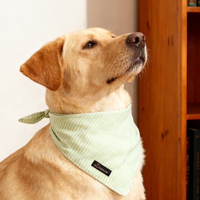 ARING PET Summer Dog Bandana-Cute Green Dog Bandanas, Comfortable Pet Scarf Dogs Triangle Bibs for Small to Large Boy Girl Dogs and Cats