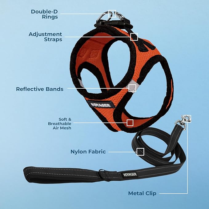 Best Pet Supplies Voyager Step-in Air All Weather Mesh Harness and Reflective Dog 5 ft Leash Combo with Neoprene Handle, for Small, Medium and Large Breed Puppies - Orange/Black Trim, Medium