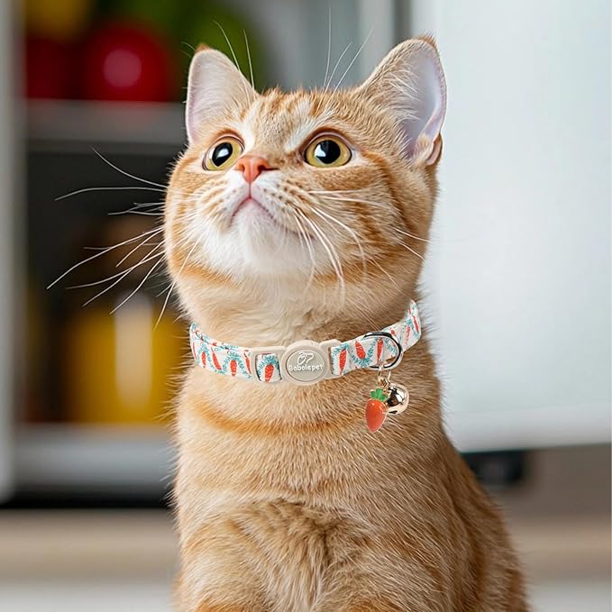 2 Pack Cute Cat Collars - Playful Carrot & Floral Printe Soft Breakaway Cat Collar with Bell & Matching Pendant, Adjustable Spring Summer Kitten Collars for Boy Girl Cats
