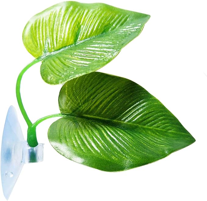 CousDUoBe 1 Pack Betta Fish Leaf Pad Improves Betta's Health by Simulating The Natural Habitat - Natural, Organic, Comfortable Rest Area for Fish Aquarium Ornaments