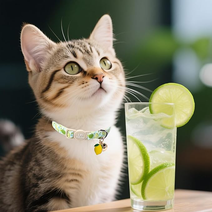 Cat Collar, 2Pack Summer Kitten Collars-Cute Lime and Strawberry Pendants-Breakaway Kitty Collars,Cat Collar with Bell, for Girl & Boy Cats