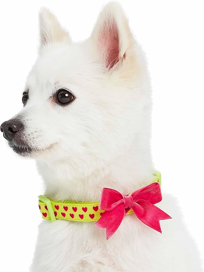 Blueberry Pet Adjustable Flocking Dog Collar with Detachable Velvety Bowtie - Heart in Gothic Grape