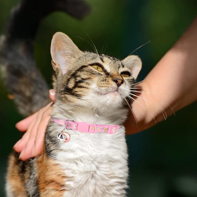Breakaway Cat Collars with Bell & Cute Pendants, 3 Pack Safety Buckle Kitten Collars, Adjustable Pet Collar Ideal for Girl Boy Cats Puppy (Moon&Star)