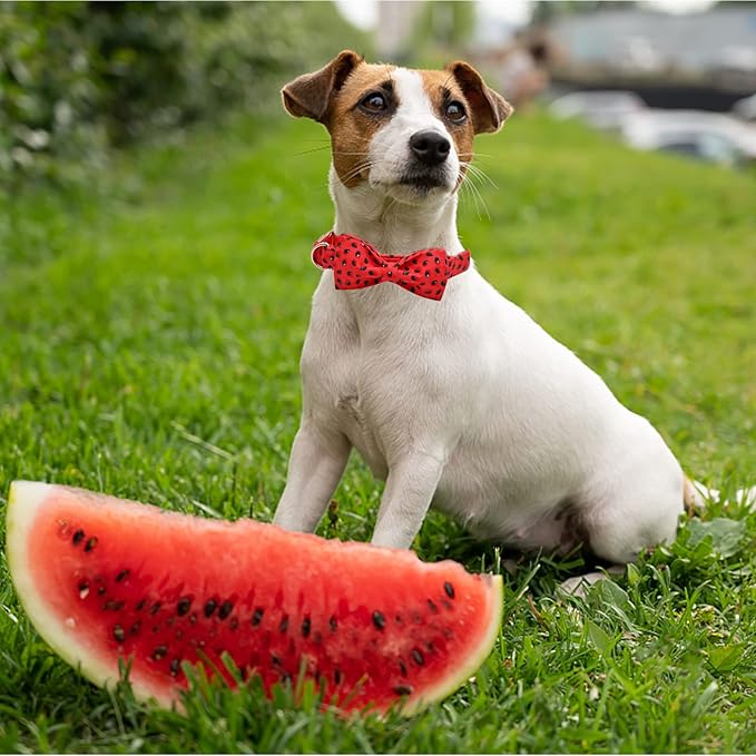 Lionheart glory Dog Collar, Watermelon Dog Collar with Bow, Summer Dog Bowtie Collar Cute Pet Collar Gift for X-Large Dog