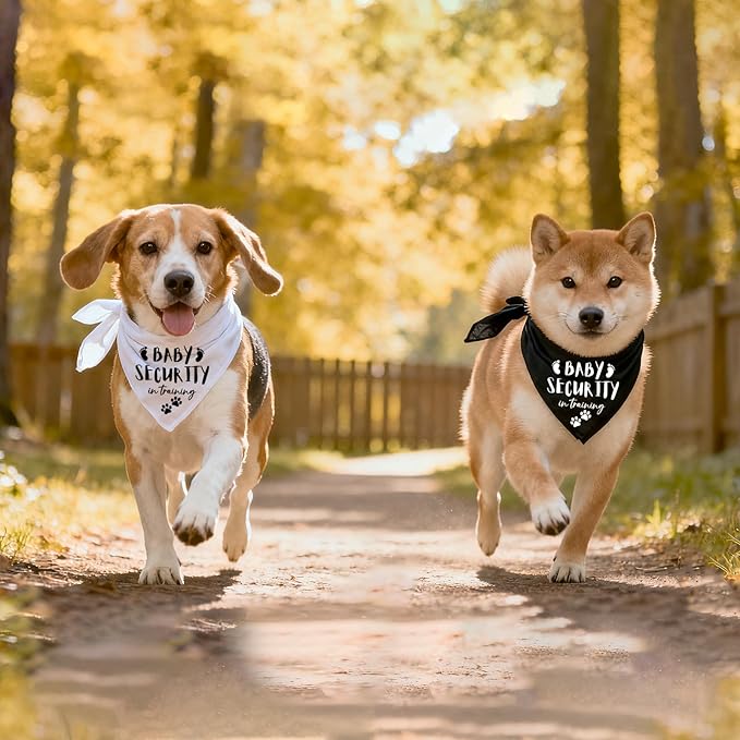 Our Humans are Getting us a Baby Dog Bandanas Pet Scarf Pregnancy Announcement Pet Bandana for Dogs Pet Accessories for Dog Lovers Announcement Photo Props for Large Medium Small Dogs, 2 Packs