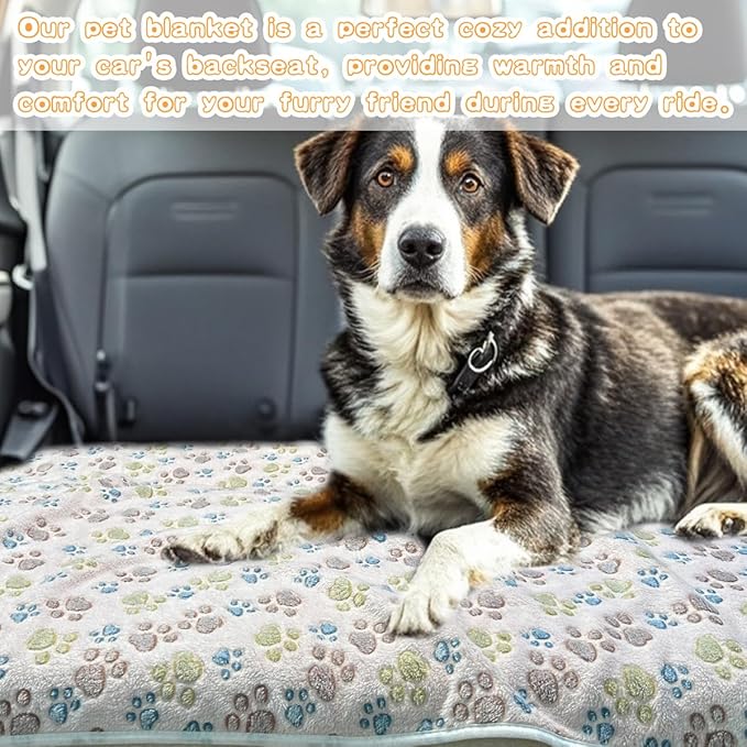 Dog Blankets for Medium Large Dogs Washable, 3 Pack Pet Blanket Washable 41" x 31", Fuzzy Soft Puppy Throw Cover for Kennel Crate Bed