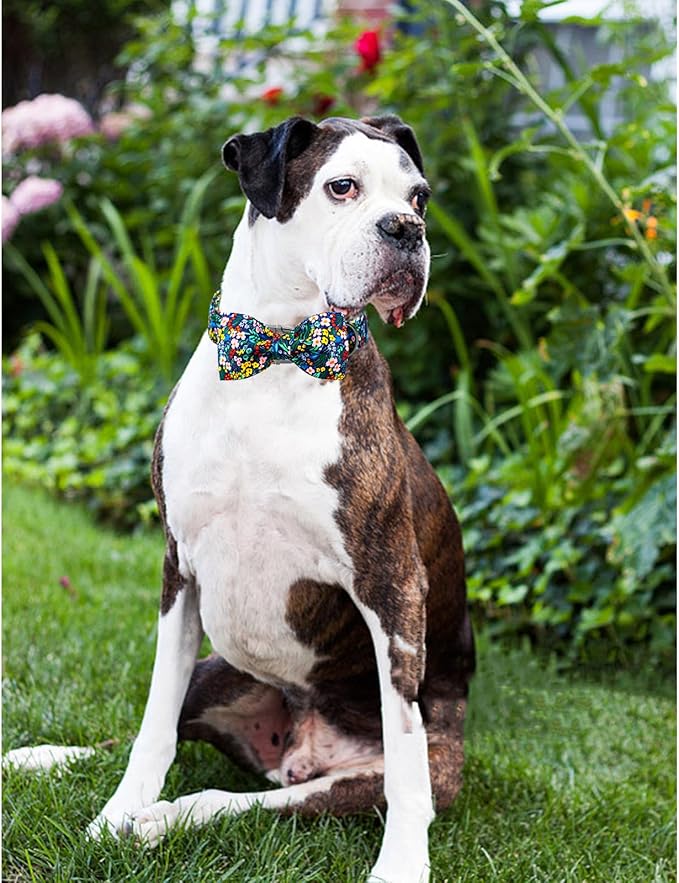 Lionheart glory Dog Collar Darkblue Flower Dog Bow Collars Floral Dog Collar with Bow Male or Female Spring Fall Pet Gift Durable Adjustable Dog Collar for Large Dogs