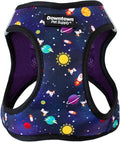 Downtown Pet Supply Step-in Dog Harness – No Pull, Adjustable Padded Mesh with Reflective Trim, Secure Buckle Strap – Comfortable & Breathable Small Dog Harness, X-Large, Space
