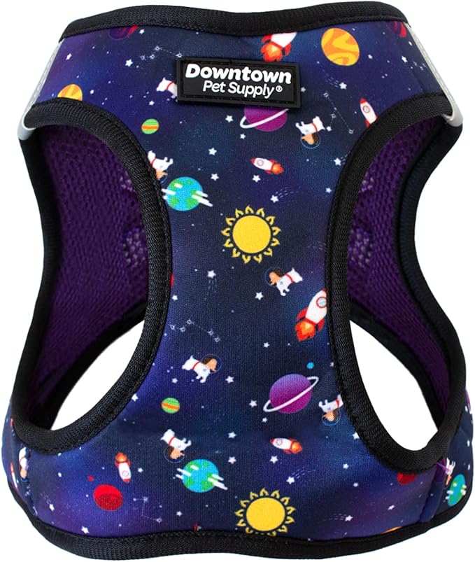 Downtown Pet Supply Step-in Dog Harness – No Pull, Adjustable Padded Mesh with Reflective Trim, Secure Buckle Strap – Comfortable & Breathable Small Dog Harness, Large, Space