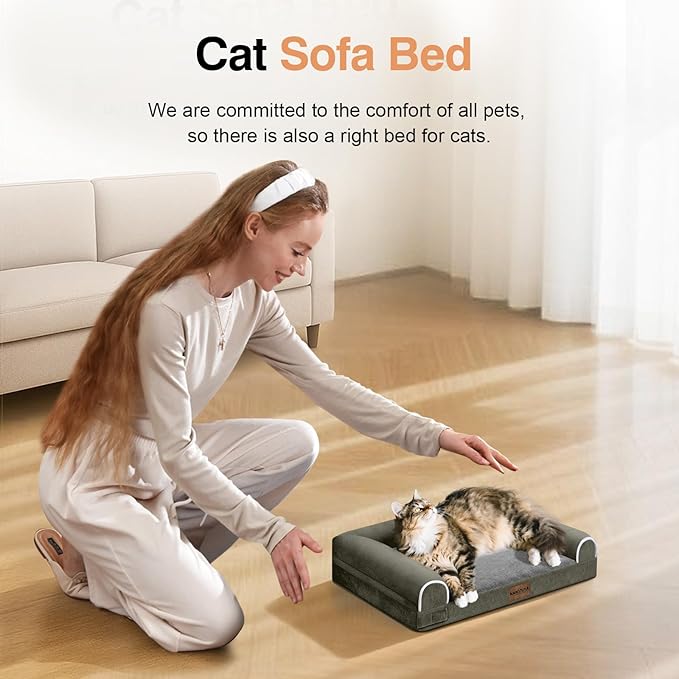 Small Dog Bed Orthopedic Washable: Beds Bolster Small Sized Dogs Cats Bed Egg Crate Foam Couch Sofa Waterproof with Removable Cover - Dark Green