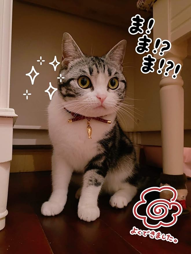 PetSoKoo Cute Bowtie Cat Collar with Bell. Japanese Stylish Bowknot & Fish Charm. Safety Breakaway, Soft, Lightweight, for Girl Boy Male Female Cats Kitten,Navy Blue