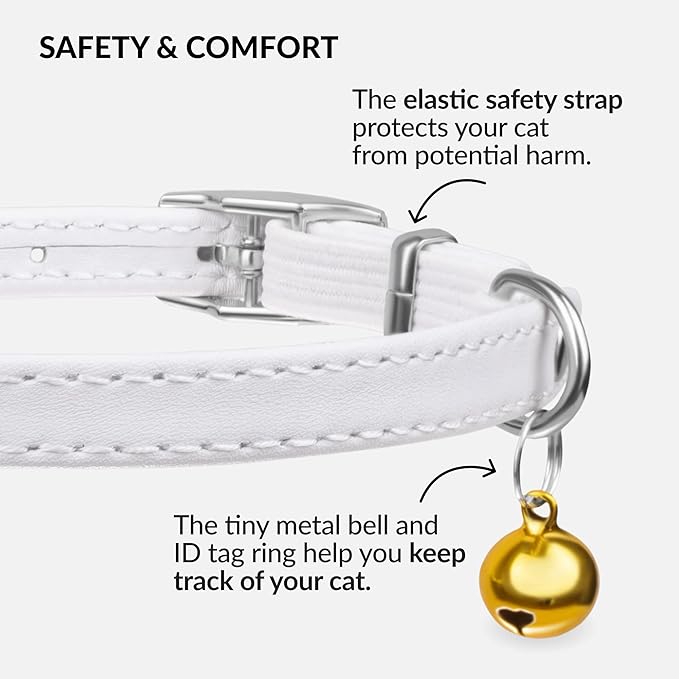 CollarDirect Leather Cat Collar with Bell - Kitten Collar, Small and Big Cat Collar for Boy Cats, Girl Cats with Safety Elastic Strap (Neck Fit 8"-11", White)