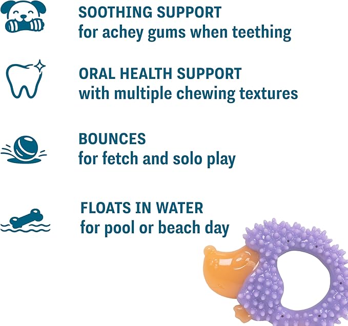 Outward Hound Pupstages Cutie Chewies Hedgehog Dental Dog Chew Toy — Multi-Textured, Massages Gums, Floats & Bounces for Teething Puppies & Small Dogs, 5" x 3.5" x 1"