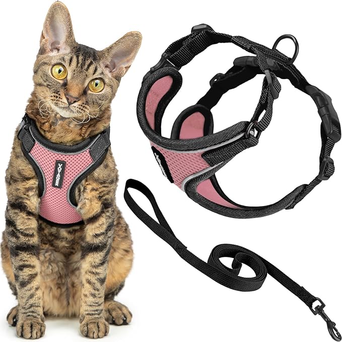 Voyager Escape-Proof Step-in Lock Cat Harness & 5ft Neoprene-Handle Leash Set All-Weather Mesh with Reflective Stitching for Small to Large Cats by Best Pet Supplies, Black Trim-Pink (327), XS