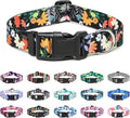 Mercano Adjustable Dog Collar - Special Design Patterns, Soft Nylon Comfortable Durable Pet Collar for Small Medium Large Dogs (L, Floral Orange)