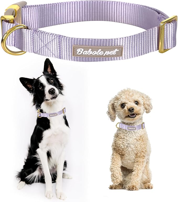 Nylon Dog Collar - Adjustable Lavender Soft Webbing Dog Collars for Small Medium Large Dogs Boy Girl Puppy Collar with Safety Metal Buckle XS