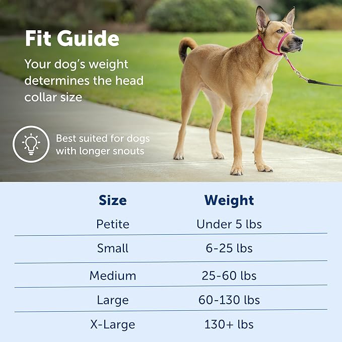 PetSafe Gentle Leader Headcollar No-Pull Dog Collar - Helps Improve Walks - Durable Nylon Construction - Padded Nose Loop - Adjustable Fit - Comfort Walking Halter - Medium,Charcoal,(Pack of 6)