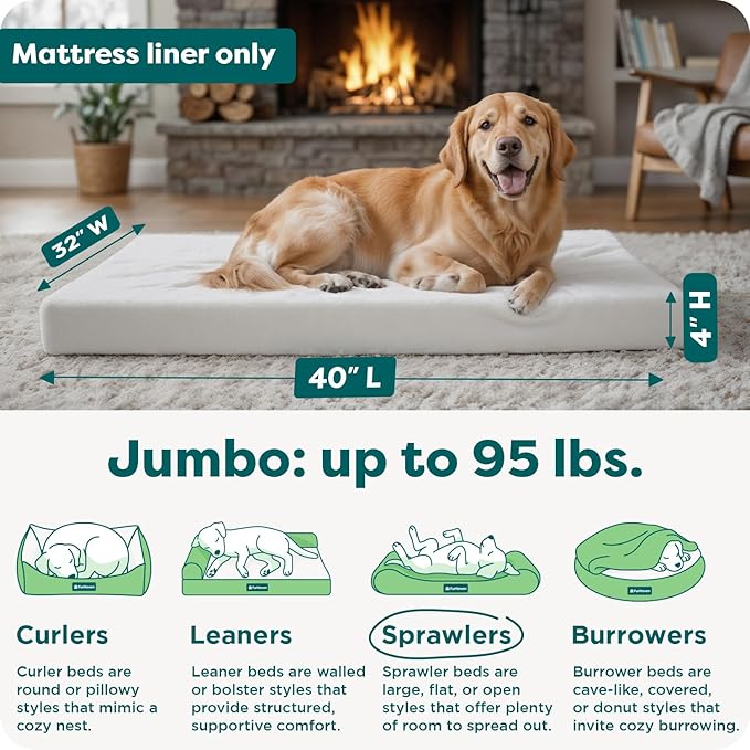 FurHaven Dog Bed Liner for Large Dogs, Water-Resistant Foam Protector with Quiet No-Crinkle Cover Design, Easy to Clean, Jumbo XL, Coated Polyester, White
