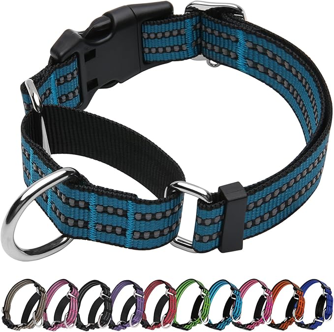 Martingale Dog Collar, Adjustable Nylon Reflective Collar with Quick Release Buckle (Gentian Blue, Small)