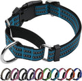 Martingale Dog Collar, Adjustable Nylon Reflective Collar with Quick Release Buckle (Gentian Blue, Large)