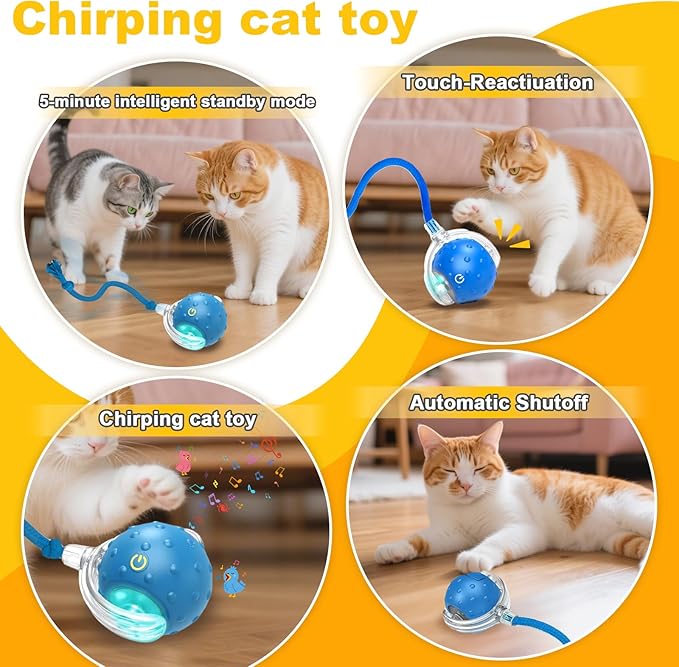 2-Pack Interactive Cat Toys Ball for Indoor Cats＆Dog,Automatic Cat Toy with Smart Obstacle Avoidance&Bird Chirps,Includes 8 Cat Spiral Spring,Cat Enrichment Toys for Indoor Cats(Red＆Blue)