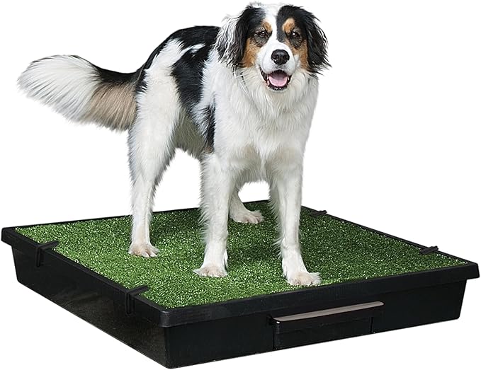 PetSafe Pet Loo Indoor Pet Toilet, Portable Dog Potty Station, Grass Pad Tray of Synthetic Grass Mat, Easy to Clean, Large