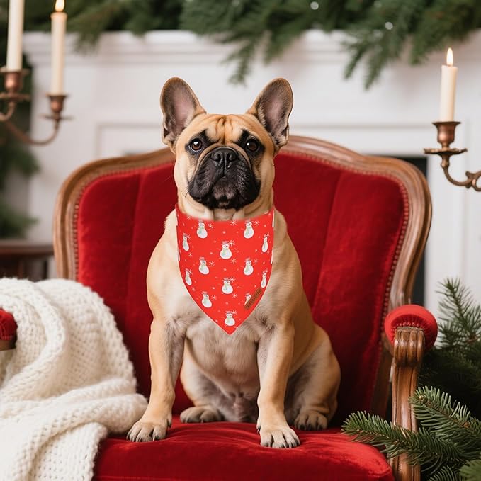 ADOGGYGO Christmas Dog Bandanas 2 Pack, Reversible Santa Snowman Xmas Pet Scarf Bib, Adjustable Fit Red Green Christmas Bandana for Small Dogs (Small)