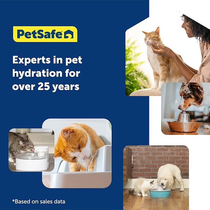 PetSafe ScoopFree Disposable Crystal Cat Litter Tray - Easy Cleaning Box - Refill Tray for Automatic Litter Box - Lavender Scent - 4.3 lb Bags - 6 Pack