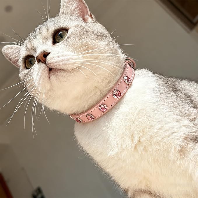 EXPAWLORER Leather Cat Collar for Girl Boy- Adjustable Pet Collar with Safety Elastic Belt,Personalized Rhinestone Accessories Buckle Collars with Bell & Durable D-Ring,Rhinestone (Pink)