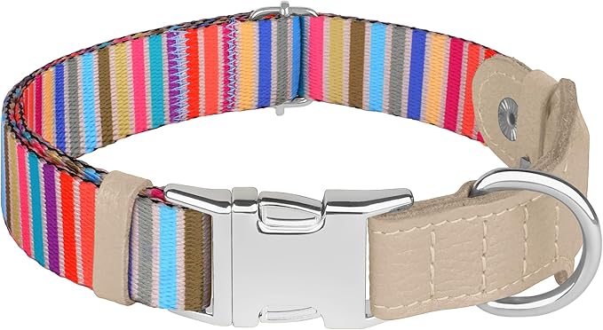 AirTag Dog Collar for Small Medium Large Breed - Adjustable Cute Pattern Dog Collar with Airtag Holder - Soft Leather Tracker GPS Apple Air Tag Pet Collars (X-Large, 20"-25" Neck Fit, Serape)