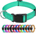TagME Reflective Nylon Dog Collars, Adjustable Classic Pet Collar with Quick Release Buckle for Extra Large Dogs, Turquoise, 1¼" Width