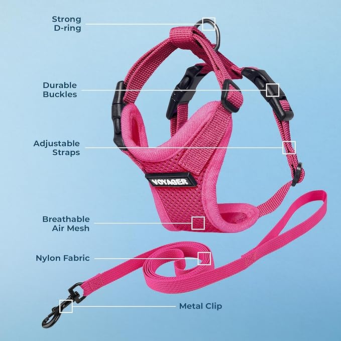 Voyager Escape-Proof Step-in Lock Cat Harness & 5ft Neoprene-Handle Leash Set All-Weather Mesh with Reflective Stitching for Small to Large Cats by Best Pet Supplies, Fuchsia, XXS
