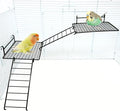 BNOSDM Stainless Steel Grid Platform for Parakeet 4 PCS Bird Perches Platform Parrot Stand with Climbing Ladder Bird Cage Accessories for Small to Large Birds (L)
