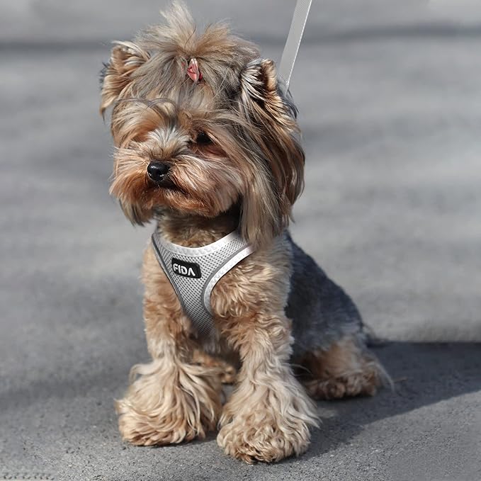 Fida Comfy Dog Harness with Leash, Soft Puppy Vest Escape Proof, Breathable Lightweight Soft Mesh, Adjustable Reflective Step-in Harness for Small Pets Walking (Small, Grey)