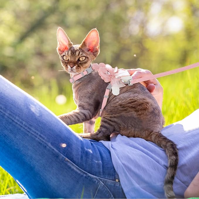 TIESOME Cat Harness and Leash Set, Adjustable Gradient Kitten Harness Escape Proof Harness with Leash for Kitty Outdoor Walking (Ribbon Bear Pink)