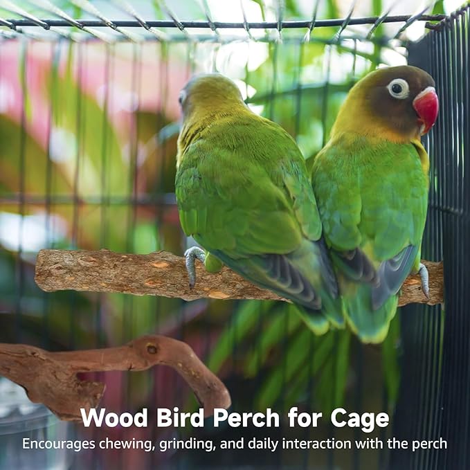 5 PCS Wood Bird Perches, Natural Grape Wood Branches with Mounts, Bird Stand and Paw Grinding Accessories, Cage Perches for Parakeet, Cockatiel, Conure, Budgie