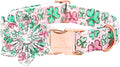 Lionheart glory St. Patrick's Day Dog Collar with Flower Dog Collars for X-Small Dogs, Heavy Duty Green Collars Lucky Clover Shamrock Dogs Collar Flower Puppy