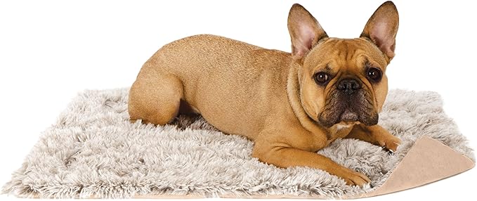 Furhaven Waterproof Throw Blanket for Dogs & Indoor Cats, Washable - Shaggy Plush Calming Long Faux Fur & Velvet Dog Blanket - Driftwood, Small (Pack of 2)