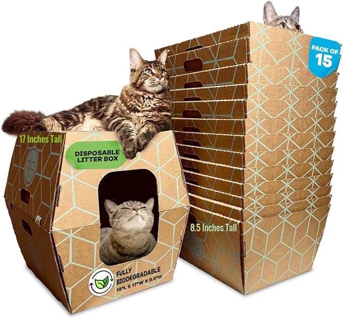 Tallest Disposable Cat Litter Box 15 Trays 2 Trays Litter Box Low Entry Original Patented Indentical Design19 Lx17 Wx8.5 17 in. Closed Box. Woman Lifelong Cat Care Sassy Uses Daily 14 yrs Made-US