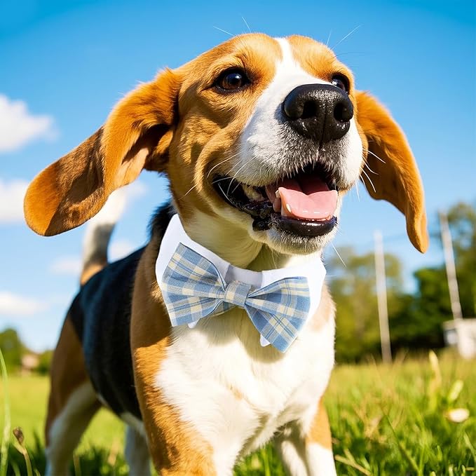 Segarty Dog Bow Tie Neck Girth 10.2-12.6in, Adjustable Blue Plaid Bowtie Collar for Dogs, Medium Dog Tie Tuxedo Comfortable Cotton Boy Pet Grooming Accessory for Formal Wedding Holiday Birthday Party