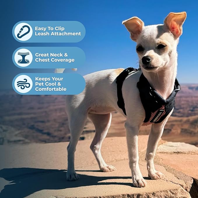Voyager Step-in Pet Harness - All Weather Mesh, Adjustable Step in Harness for Cats and Dogs by Best Pet Supplies - Pink/Black Trim, M
