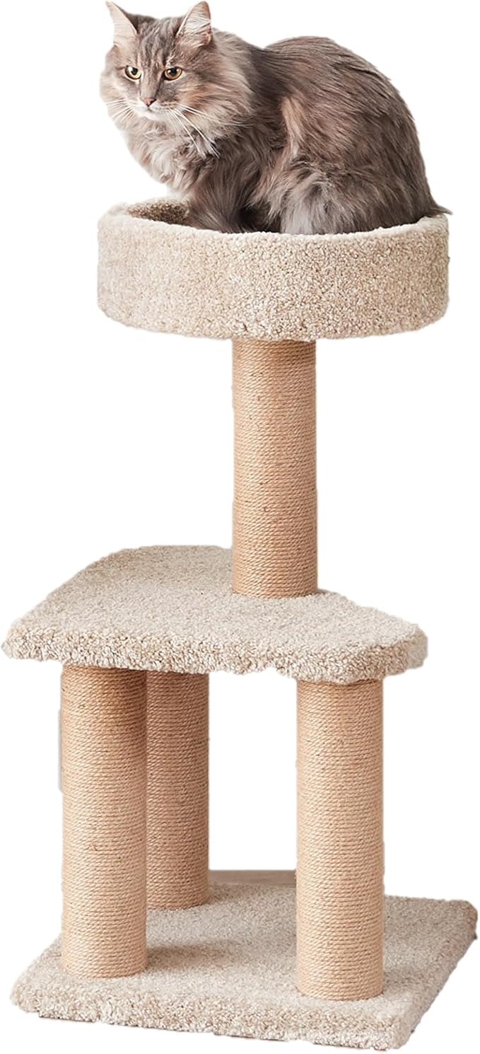 Amazon Basics Cat Tree - Multi-Level Climbing Activity Tower with Jute Rope Scratching Posts for Indoor Cats & Kittens, Medium (31.5" H), Beige