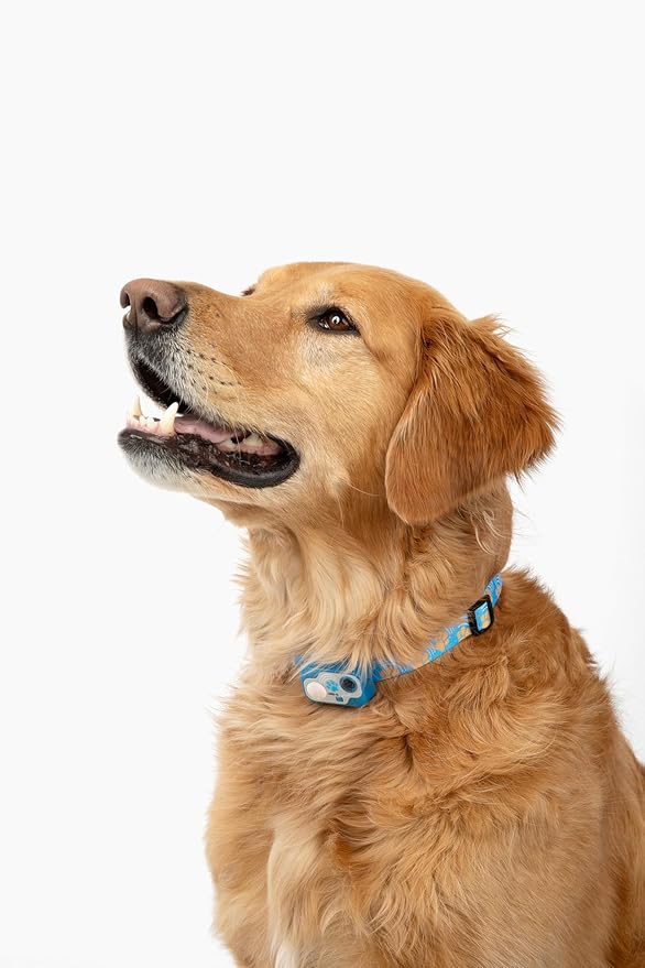 MS-5 Designer Series, Premium Performance Automatic Pet Door Collar by High Tech Pet Brand - Class A Battery Included - Stylish Design - Waterproof - Rugged - USA Support (Paw)