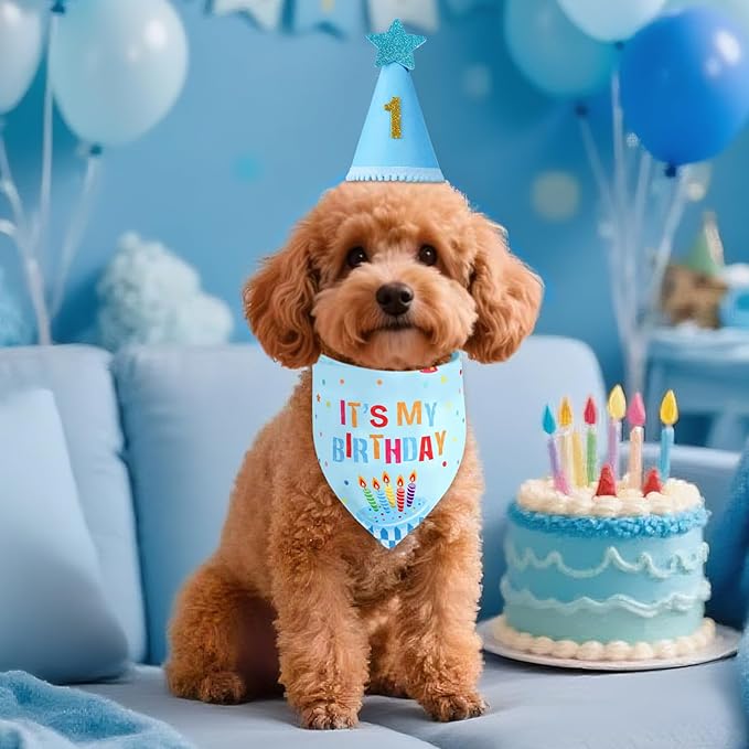 Dog Birthday Party Supplies with Hat Bandana Numbers, Light Blue Dog Birthday Set for XLarge Large Pets Puppy Boy